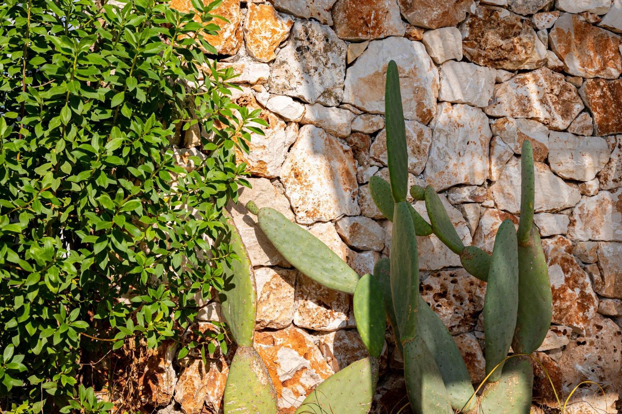 & Village Camping Porto Cesareo